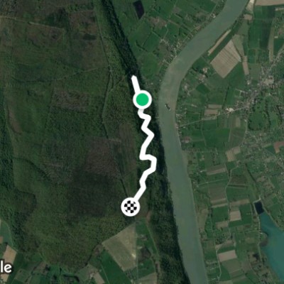 Forêt domaniale de Brotonne