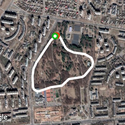 1-й профессиональный