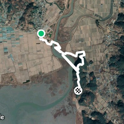 11월16일토.순천만습지