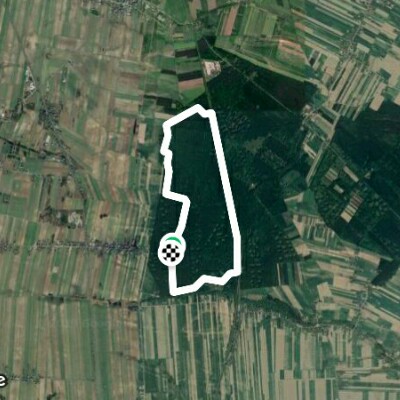 Kamionka forest Walk Trail - Wieluń, Łódź Voivodeship, Poland | Pacer