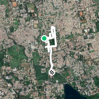 daily walk
