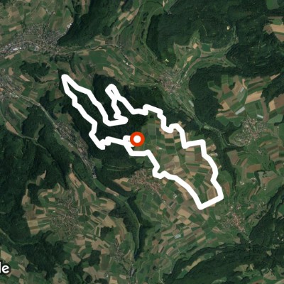 Tour Wenslingerfeld- Grossholz walking route map in Wenslingen