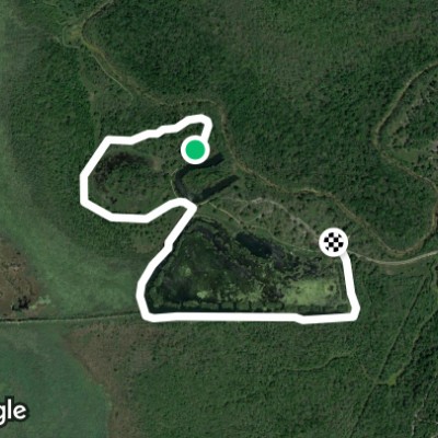 Brazos Bend State Park