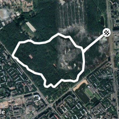 Парк Сосновка