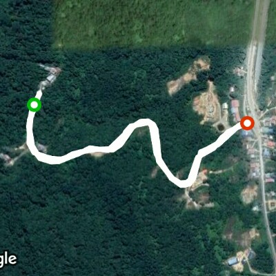 Bukit Mas Forest Reserve