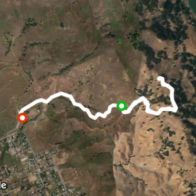 Harvey Bear, San Martin