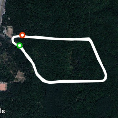 СОК "Олимпик" г.Воронеж