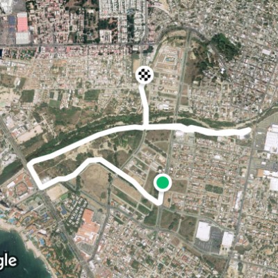 Ruta Holly