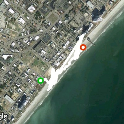 south Carolina bord walk