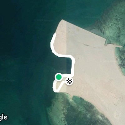 تمرين اليوم