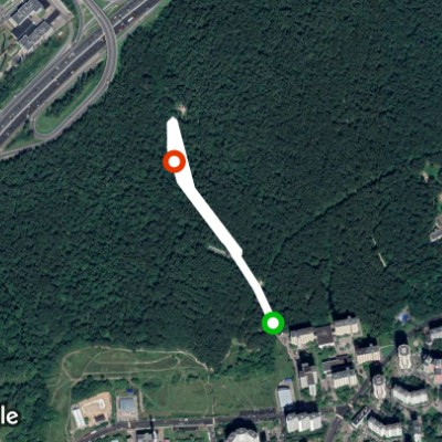 алешкинский лес