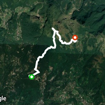 苗圃登山口 ~ 七星山 ~ 冷水坑