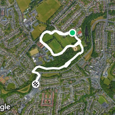 Bushy Park: No leads for dogs until 11am!!