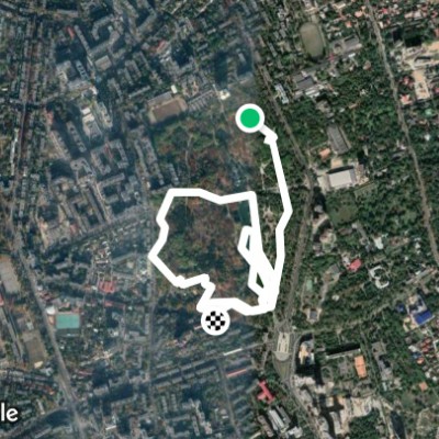 дендропарк Победы