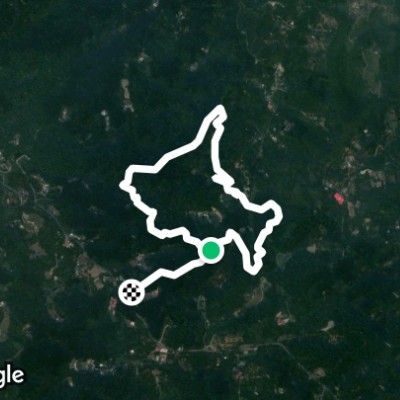 中興林場大眾路線