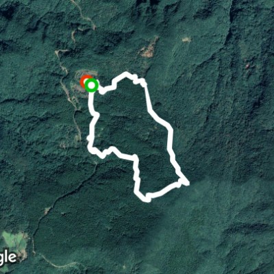 東眼山自導式步道