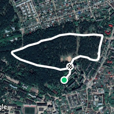 Пробежка по сосновому бору.