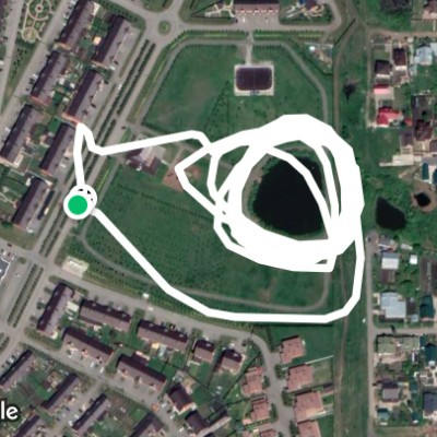 Озеро Чесноковка Спутник