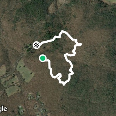 carties preserve Roxbury