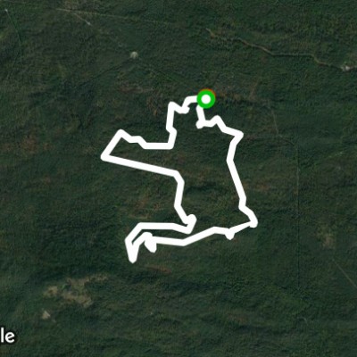 Sentier Denecourt-Colinet 17