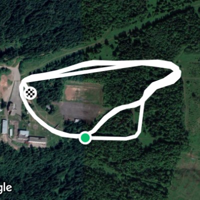 пермские медведи