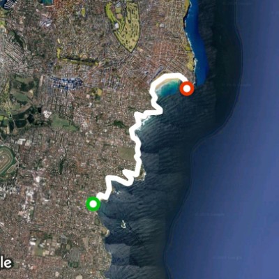 coogee to bondi walk