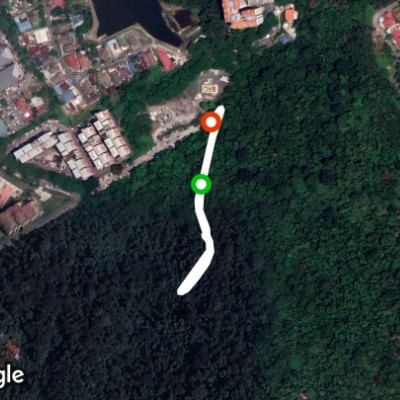 Bukit Sungai Putih Forest Reserve