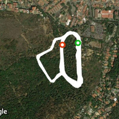 Busque de Tlalpan, ciudad de México