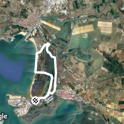 Algaida pinewood walking route map in El Trocadero