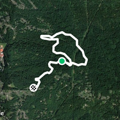 Community Forest Loop Road #8