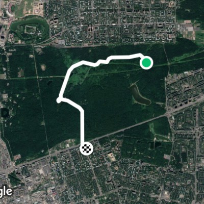 Измайловский лесопарк