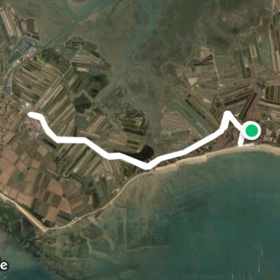 Marais entre La Couarde sur Mer et Ars en Ré