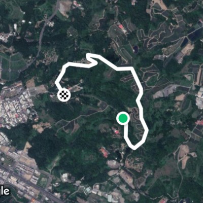 高松鳳梨山O型