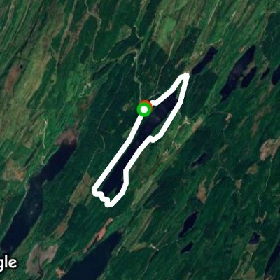 Forest walk walking route map in Bellanoch