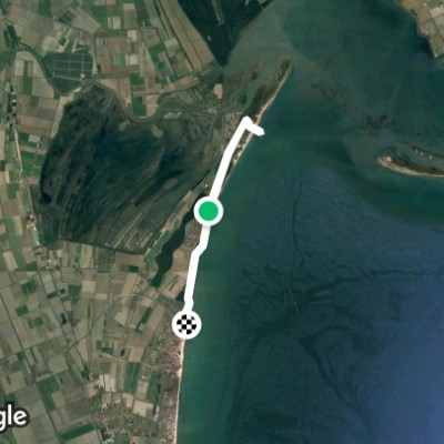 Pineta del Lido di Volano. 