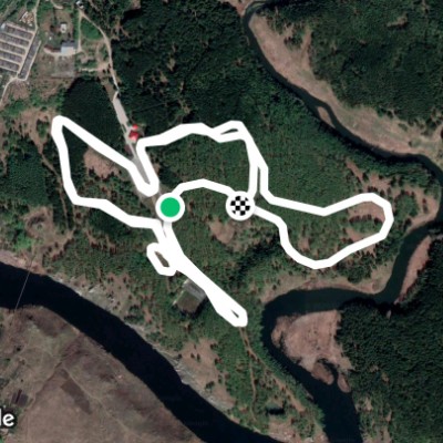 Березовая роща