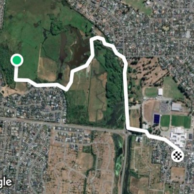 travis wetland Christchurch NZ