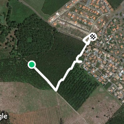 Route de Lacoume à l'étang de Linxe