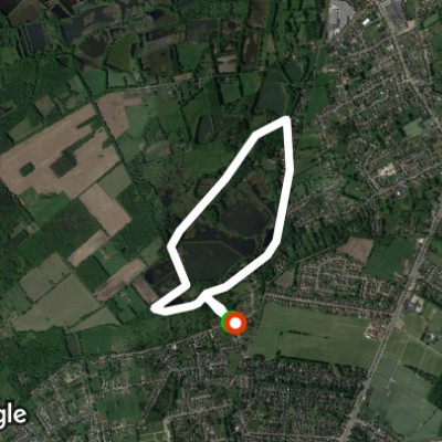 Driepaalsteen Hasselt