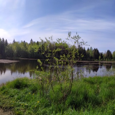"Tula 50" - textbook walking route map in Naziya