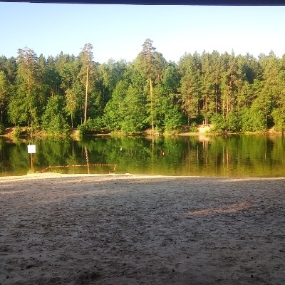 Forest walking route map in Zarechny