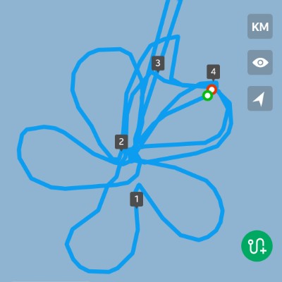 Lexis Hibiscus Petal Trail