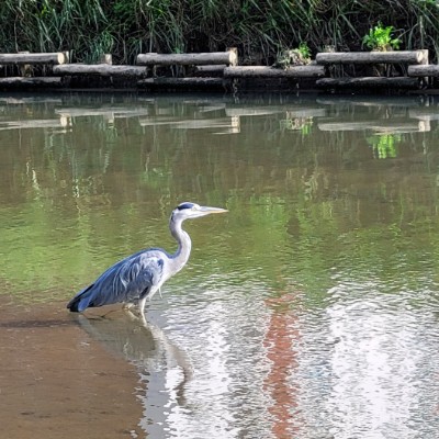 🍀해랑🍀 post 2