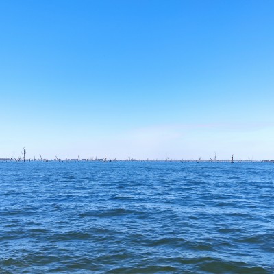 nicholas.tan7 post 1