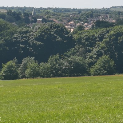 soniaharrison post 3