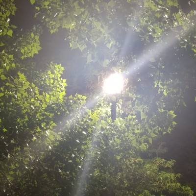 ♊️ KK1 🇺🇸 post 2