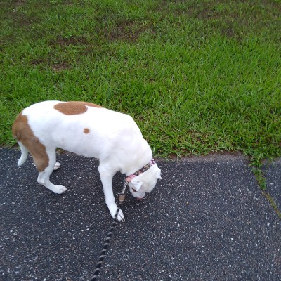 Amazing Pacers🏃‍♀️🏃‍♂️ Sherri post image