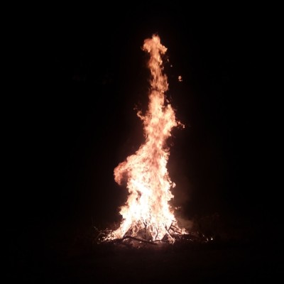 Mr. WALKer ♊👅♥️🦴anyou post 2