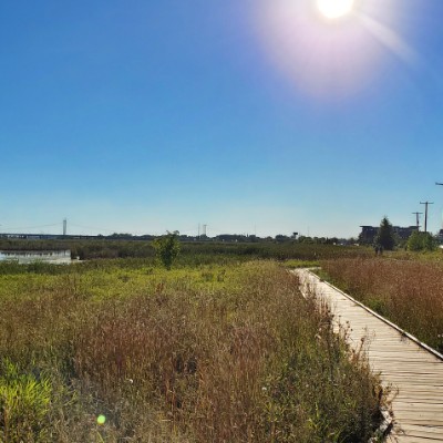 Stoffel De Roover post 1