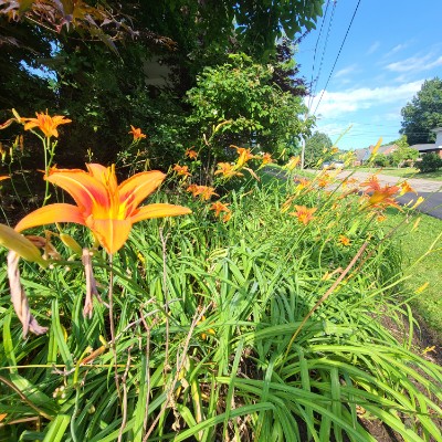 Matt S🏃‍♂️🏃‍♂️🏃‍♂️⏪🚶‍♂️ post 1